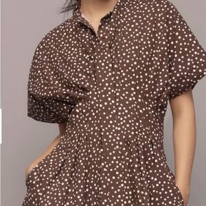 Brown Polka Dot Short Sleeve Mini Dress